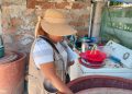 Llama Salud Sonora a buscar “criaderos invisibles” de dengue dentro del hogar