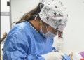 Gobierno de Hermosillo mantendrá en mayo esterilizaciones gratuitas para perros y gatos