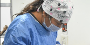 Gobierno de Hermosillo mantendrá en mayo esterilizaciones gratuitas para perros y gatos