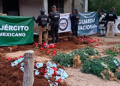 Operativo conjunto asegura invernadero con más de 800 plantas de marihuana en Cucurpe