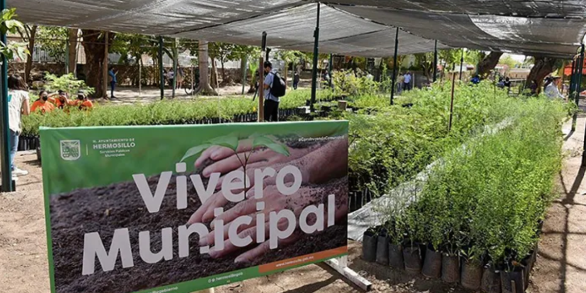Donará Vivero Municipal 500 árboles nativos