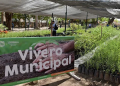 Donará Vivero Municipal 500 árboles nativos