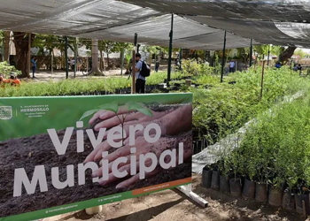 Donará Vivero Municipal 500 árboles nativos