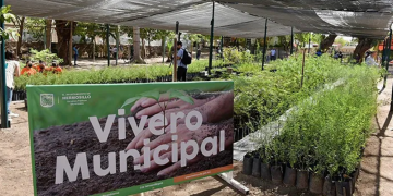 Donará Vivero Municipal 500 árboles nativos