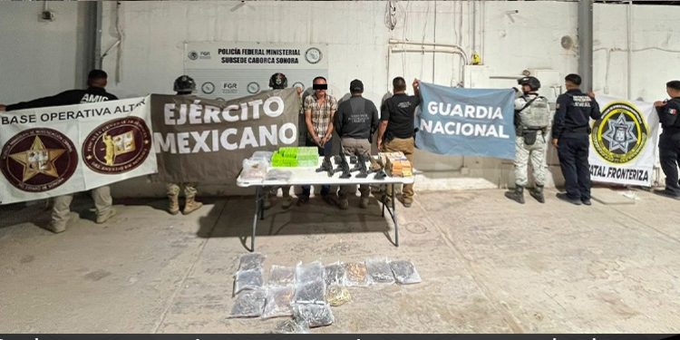 Operativo coordinado permite detención y aseguramiento de arsenal en tramo carretero Altar-Santa Ana