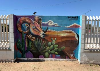 Premian a ganadores del Concurso de Corredores Culturales Ambientales en Cobach Sonora