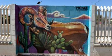 Premian a ganadores del Concurso de Corredores Culturales Ambientales en Cobach Sonora