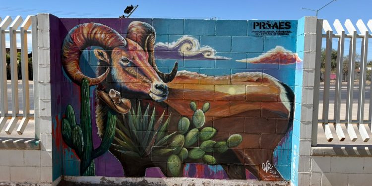 Premian a ganadores del Concurso de Corredores Culturales Ambientales en Cobach Sonora