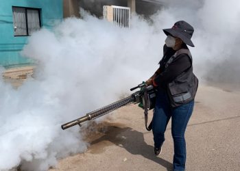 Salud Sonora fortalece la prevención y control del dengue