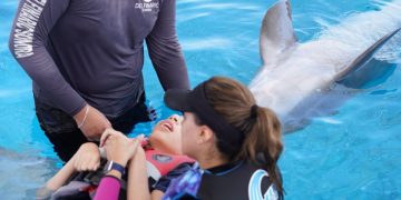Abre Gobierno de Sonora convocatoria para Delfinoterapias 2026