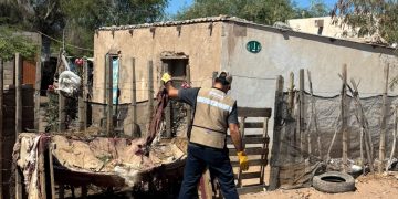 Elimina Salud Sonora más de un millón de criaderos potenciales de mosquito