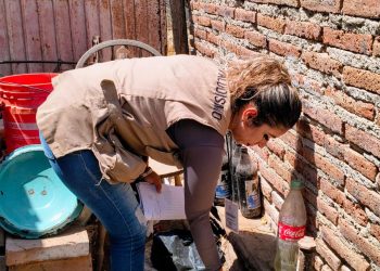 Llama Salud Sonora a reforzar medidas preventivas contra el dengue tras las lluvias