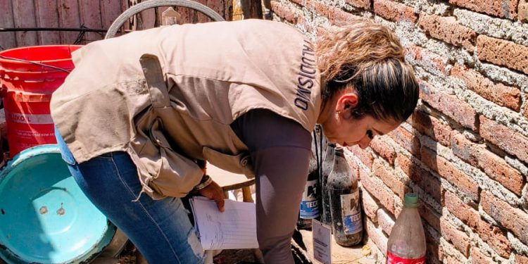 Llama Salud Sonora a reforzar medidas preventivas contra el dengue tras las lluvias