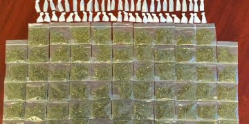Asegura Policía Estatal más de 150 dosis de narcótico en Tierra Nueva