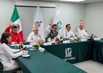 Aprueba Consejo Técnico del IMSS construcción de Hospital Oncológico Pediátrico de Ecatepec y General de Zona en Guaymas
