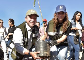 Plantación de más 113 mil árboles ayudan a mejorar el medio ambiente: Toño Astiazarán
