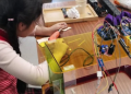 Ciencia, innovación y tecnología llegarán a Casas Hogares con talleres gratuitos para niñas y niños