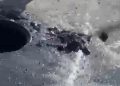 Exhorta Agua de Hermosillo a evitar tirar toallas húmedas en sanitarios