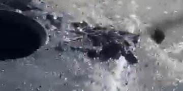 Exhorta Agua de Hermosillo a evitar tirar toallas húmedas en sanitarios