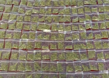 Detiene Policía Estatal a un hombre con más de 200 envoltorios con narcótico en Hermosillo