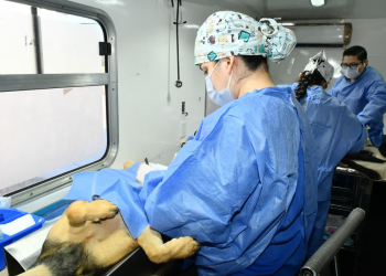 Anuncia Gobierno de Hermosillo jornadas de castraciones a perros y gatos para este mes de junio