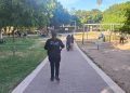 Mantiene Hermosillo reducción en delitos durante el primer semestre de 2026