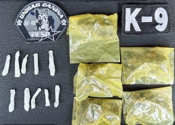 Unidad Canina K-9 de la PESP asegura narcóticos en Hermosillo