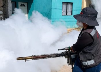 Mantener patios y viviendas limpias es la medida más efectiva contra el dengue; la fumigación complementa la prevención