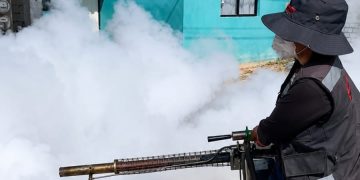 Mantener patios y viviendas limpias es la medida más efectiva contra el dengue; la fumigación complementa la prevención