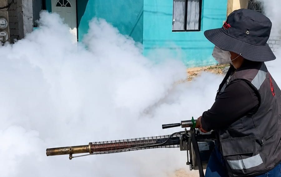 Mantener patios y viviendas limpias es la medida más efectiva contra el dengue; la fumigación complementa la prevención