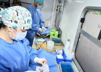 Impulsa Gobierno de Hermosillo jornadas gratuitas de castración para perros y gatos