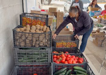 Banco de Alimentos de Hermosillo lleva alimento hasta las colonias; familias pueden registrarse y elegir lo que necesitan el mismo día
