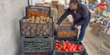 Banco de Alimentos de Hermosillo lleva alimento hasta las colonias; familias pueden registrarse y elegir lo que necesitan el mismo día