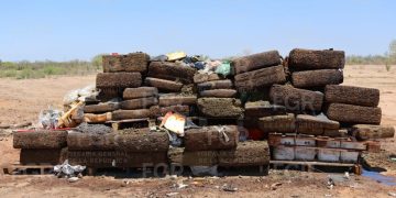 FGR lleva a cabo evento de incineración de más de una tonelada de narcóticos en Sonora