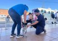 Fortalece Secretaría de Salud acciones preventivas contra la rickettsia en Cajeme