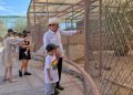 Centro Ecológico de Sonora registra 73 nacimientos en 2026