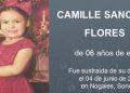 La activación de Alerta Amber, por una niña de 6 años, deriva de un problema entre los padres