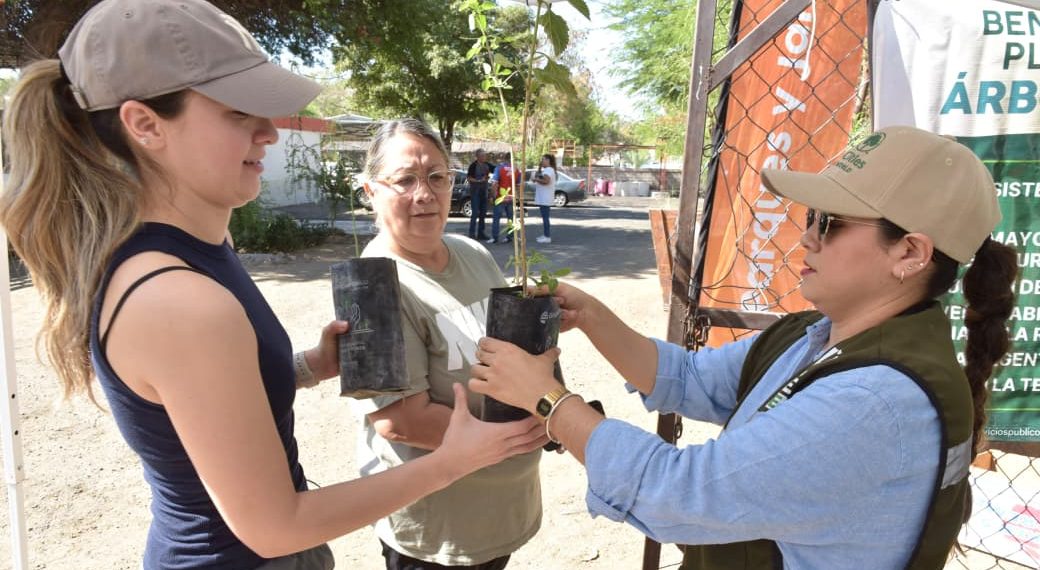 Invita Gobierno de Hermosillo a jornada de entrega gratuita de árboles nativos