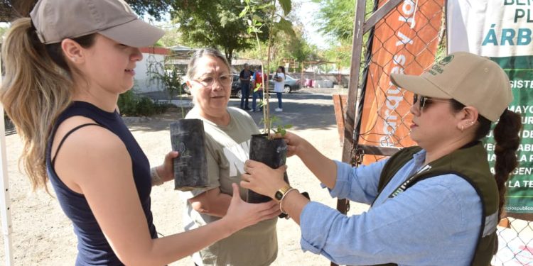 Invita Gobierno de Hermosillo a jornada de entrega gratuita de árboles nativos