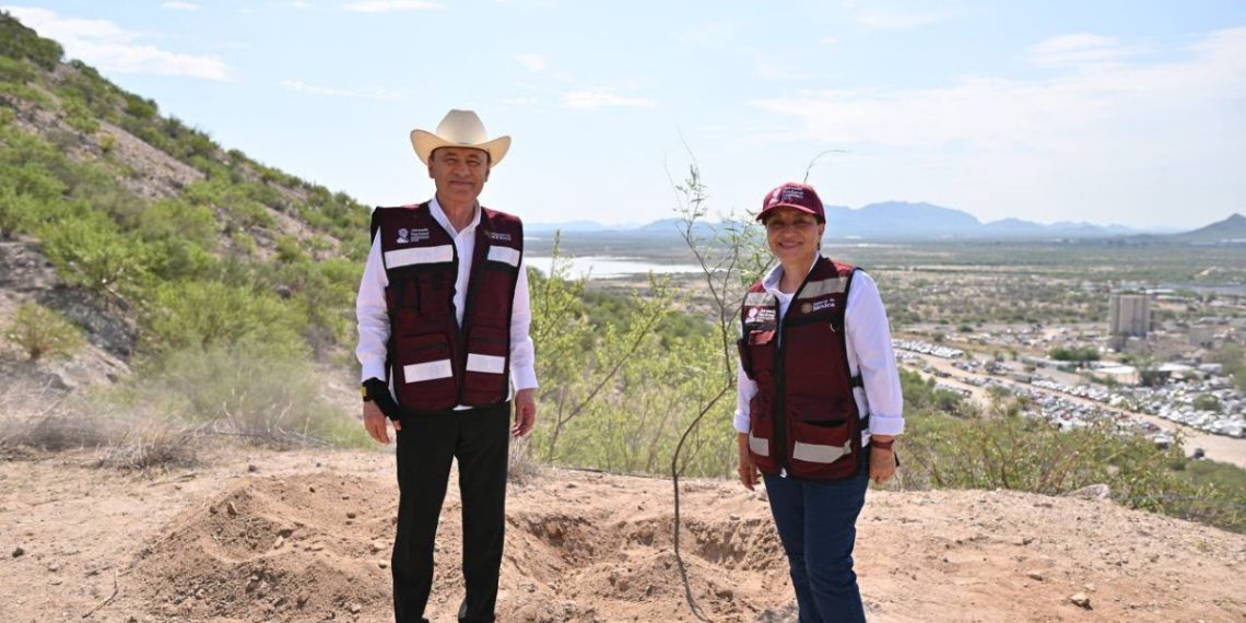 Con más de 13 mil árboles, Gobernador Durazo suma a Sonora a Jornada Nacional de Reforestación de Presidenta Sheinbaum