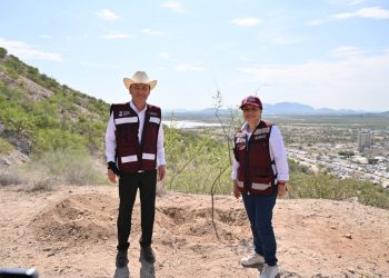 Con más de 13 mil árboles, Gobernador Durazo suma a Sonora a Jornada Nacional de Reforestación de Presidenta Sheinbaum