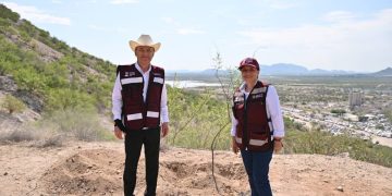 Con más de 13 mil árboles, Gobernador Durazo suma a Sonora a Jornada Nacional de Reforestación de Presidenta Sheinbaum
