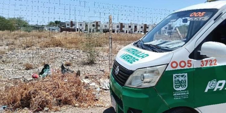 Refuerza Gobierno de Hermosillo atención a lotes baldíos y basureros clandestinos