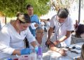 Tendrán familias de Los Jardines jornada gratuita de servicios de salud