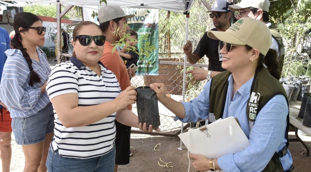 Donará Vivero Municipal árboles nativos este viernes