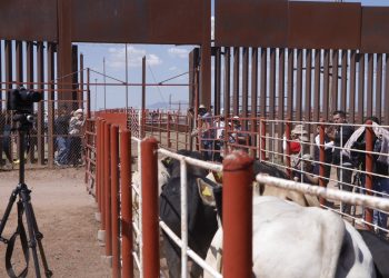 Durazo y Sheinbaum refuerzan acciones ante reapertura de la frontera; dispersan 7 millones de moscas estériles contra el gusano barrenador