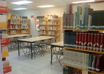 Invita IMCA a disfrutar de una semana llena de creatividad en la Biblioteca La Malinche durante el Verano Creativo