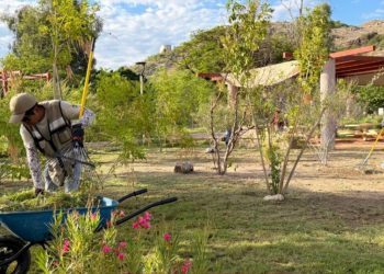 Gobierno de Sonora invita a disfrutar de un fin de semana de actividades gratuitas en el Bosque Urbano La Sauceda