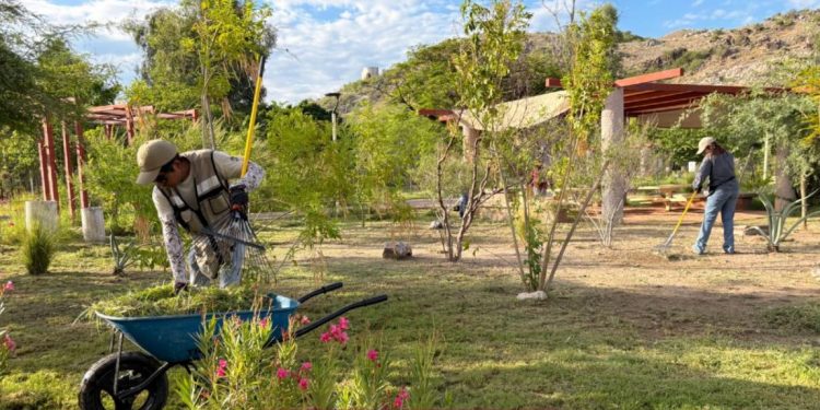 Gobierno de Sonora invita a disfrutar de un fin de semana de actividades gratuitas en el Bosque Urbano La Sauceda