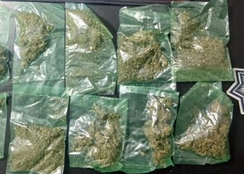 Acciones operativas de la Policía Estatal aseguran narcóticos en municipios de Sonora